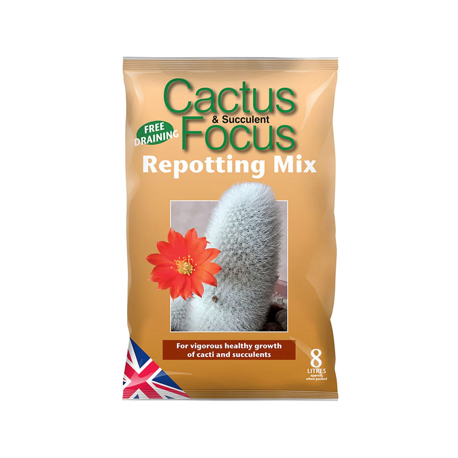 Cactus & Succulent Focus - Repotting Mix - immagine 2